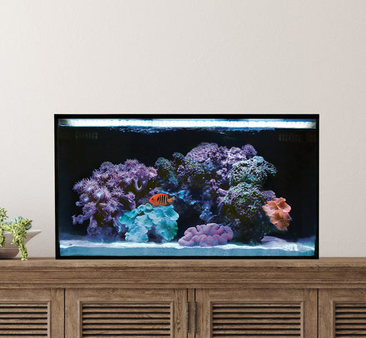 Fusion 20 AIO Cube Aquarium