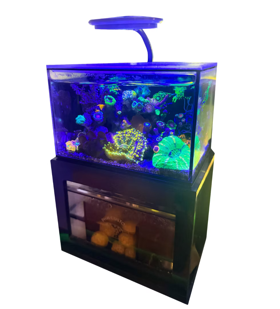 PNW Micro Tank 40oz Desktop Aquarium
