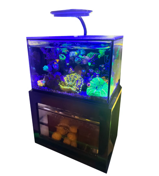 PNW Micro Tank 40oz Desktop Aquarium