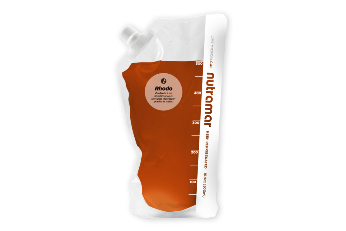 Nutramar Live Phytoplankton 500ml