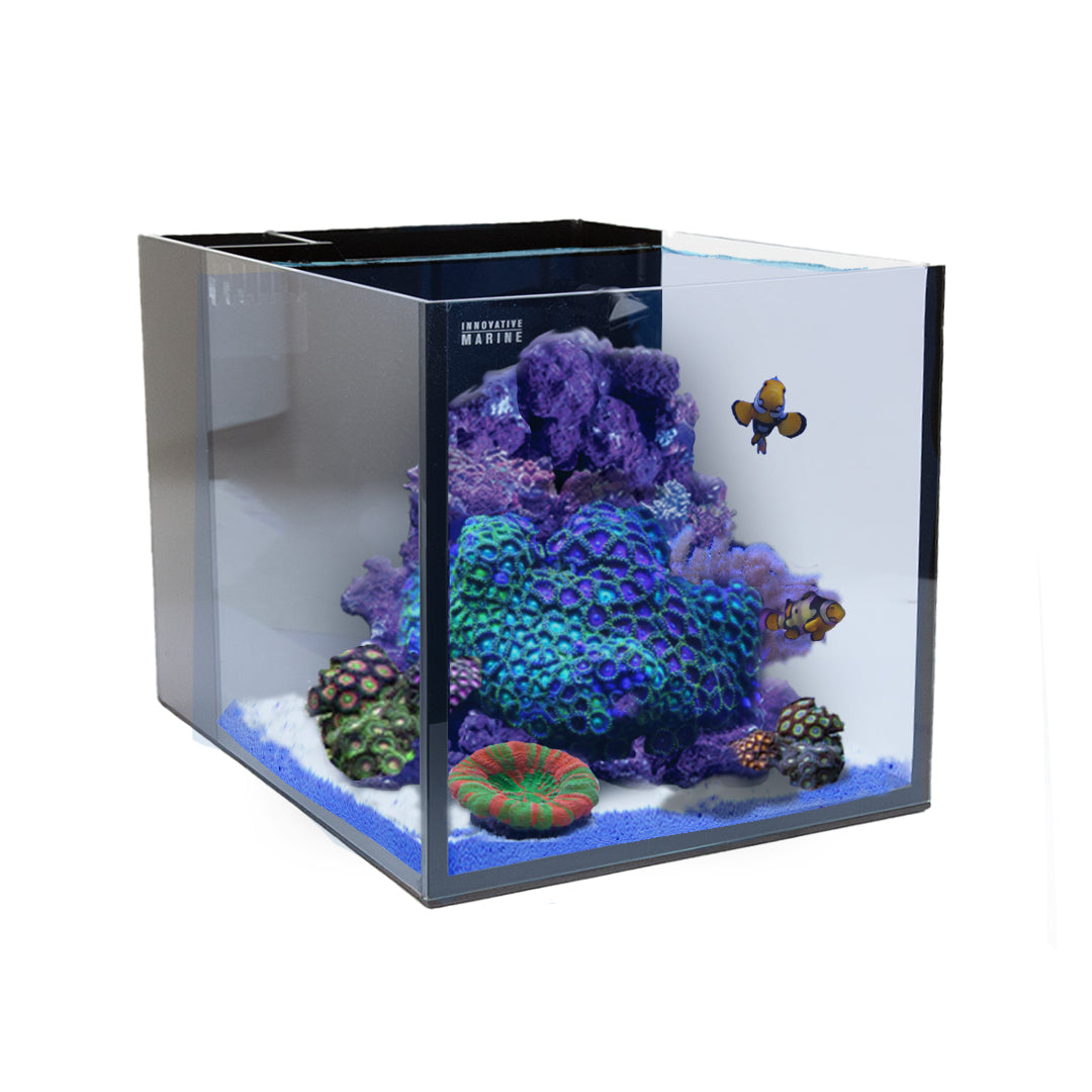 Innovative Marine Fusion 15 AIO Cube Aquarium