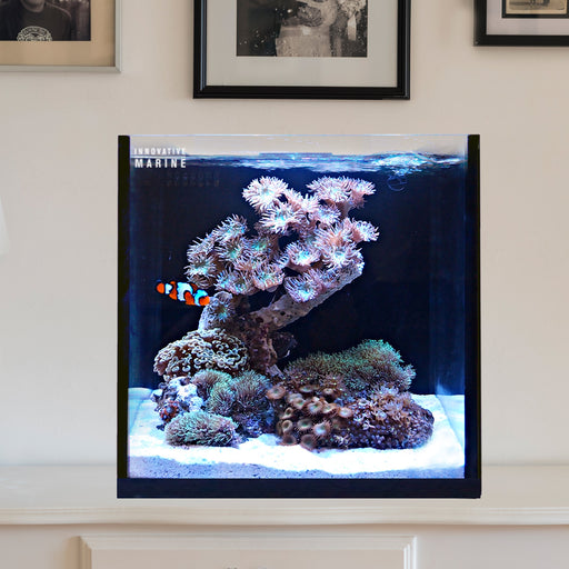 Innovative Marine Fusion 15 AIO Cube Aquarium
