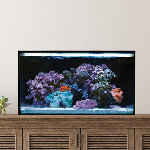 Fusion 20 AIO Cube Aquarium