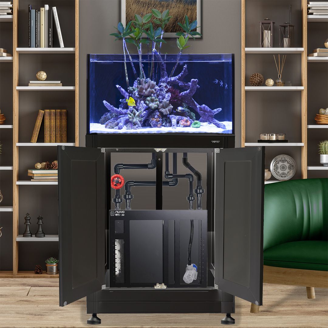 INT 50 Gallon Lagoon Aquarium Complete Reef System