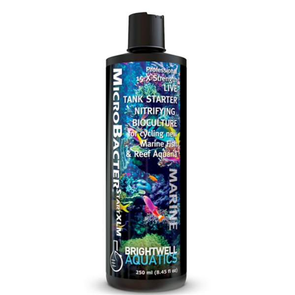 Brightwell MicroBacter START XLM 250mL