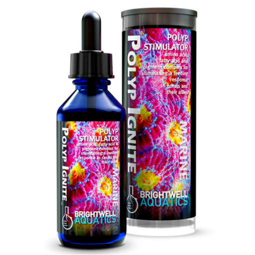 Brightwell Polyp Ignite 60mL