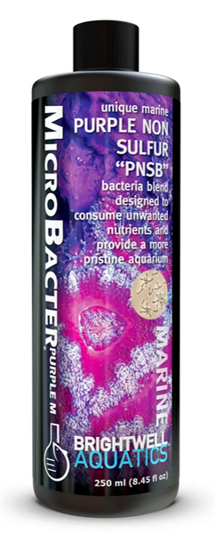 Brightwell MicroBacter Purple M