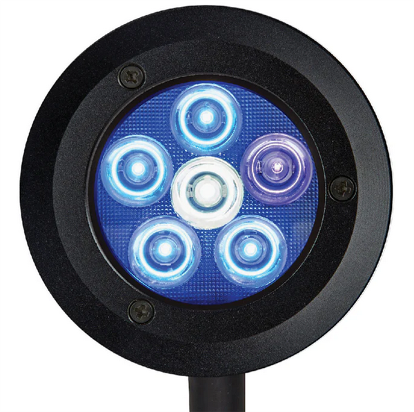 ReefBreeders Pico LED 9 Watt - Saltwater Reef