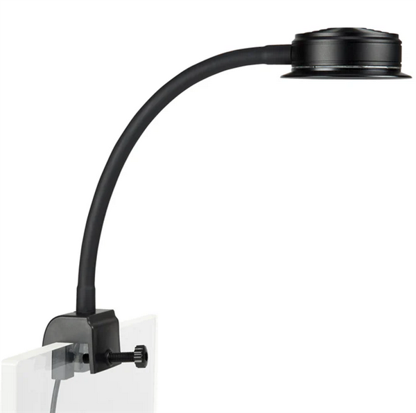 ReefBreeders Pico LED 9 Watt - Saltwater Reef