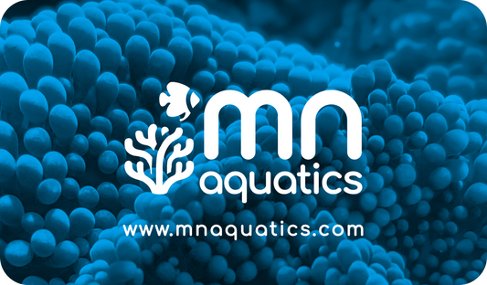 MN Aquatics Gift Card