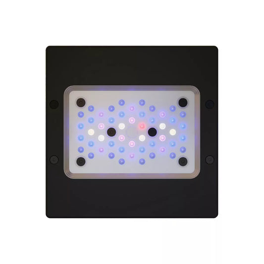 EcoTech Radion XR15 G6 Blue LED Light Fixture