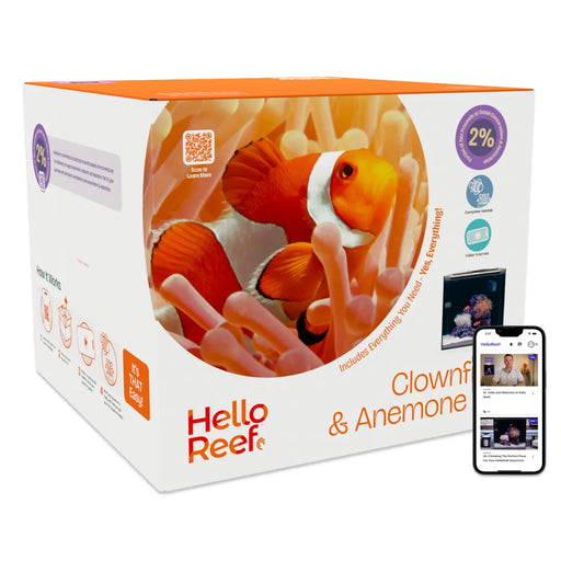 HelloReef Clownfish & Anemone 15 Gallon Aquarium Kit