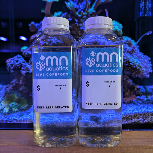 MNA Copepods