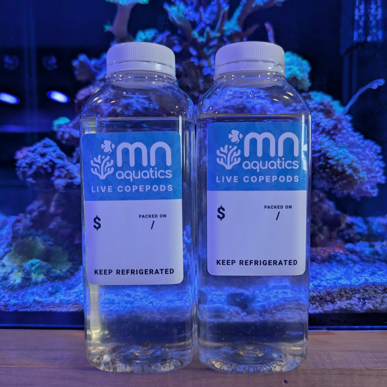 MNA Copepods