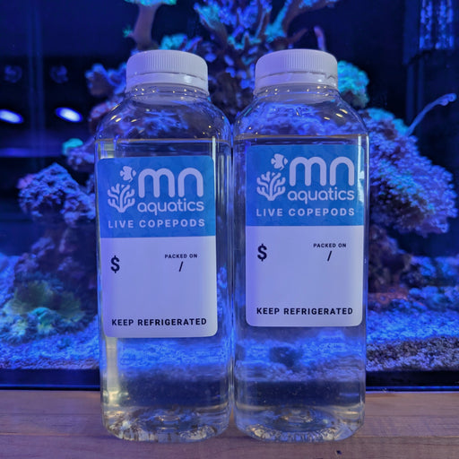 MNA Copepods
